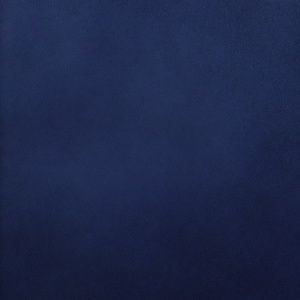 Meet your Posher, Dezarae